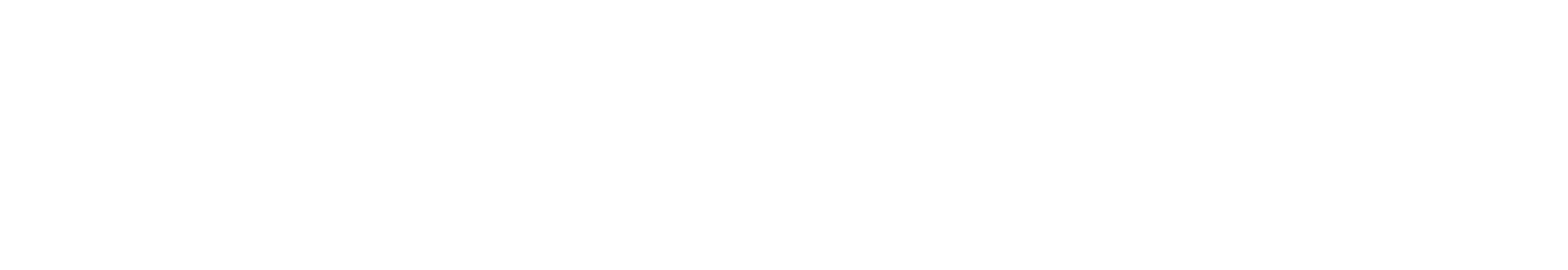 SS_TEXT WHITE