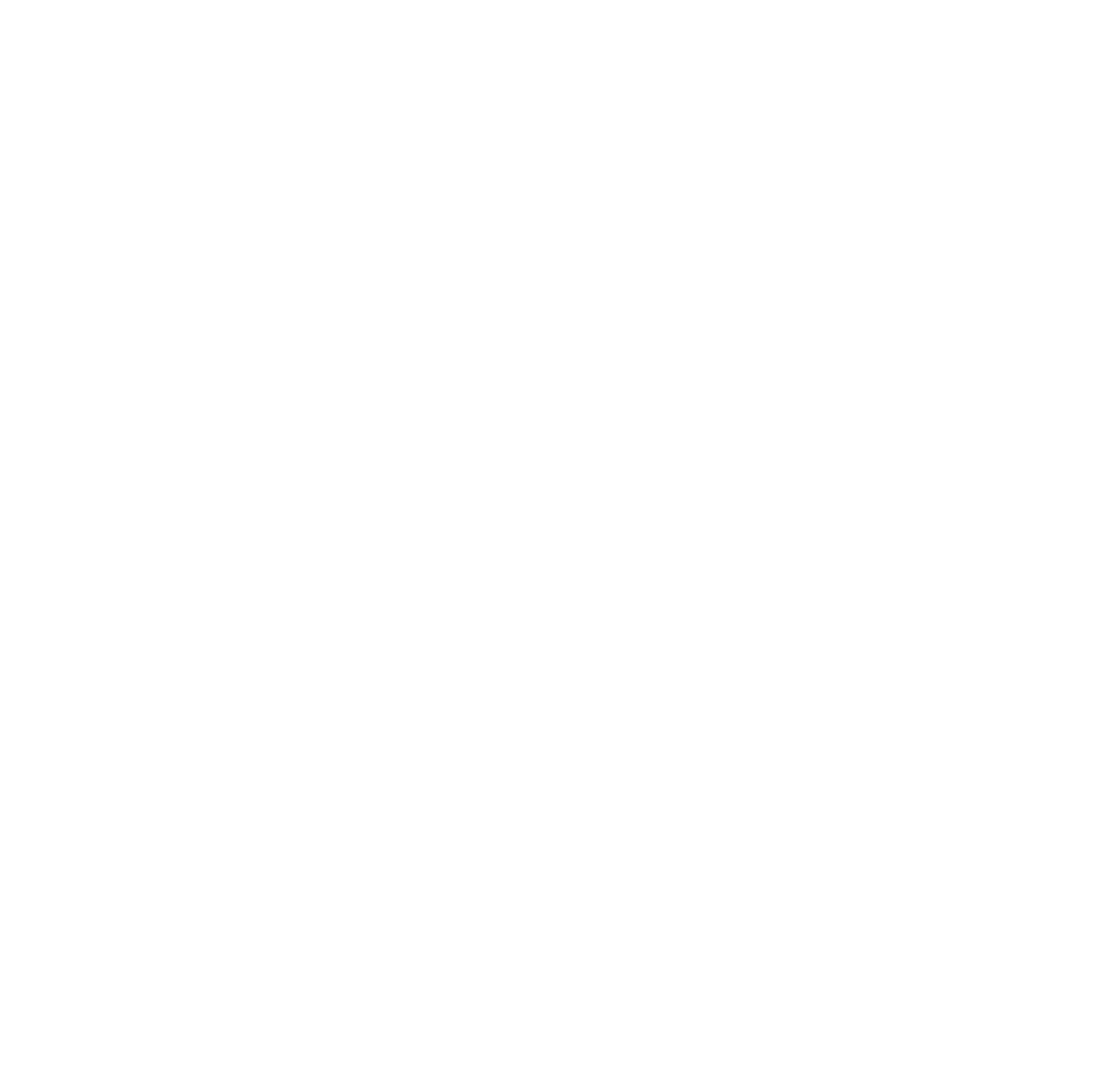 SS_LOGO WHITE TRANS